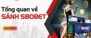 SBOBet Suncity: Khám Phá Kho Game Đa Dạng Và Ưu Đãi Khuyến Mãi Hấp Dẫn